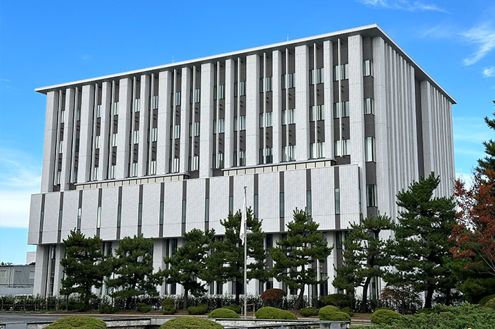 大型アルミルーバー